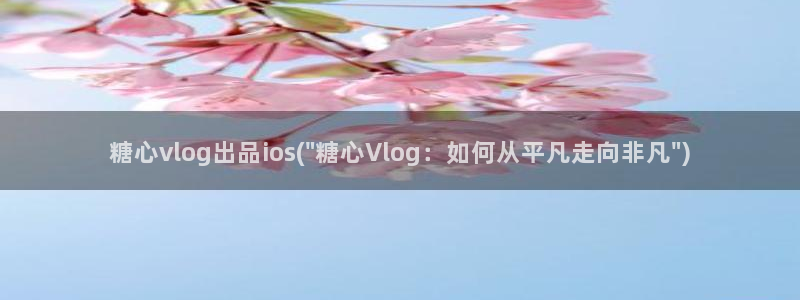 糖心vlog小桃 路人:糖心vlog出品