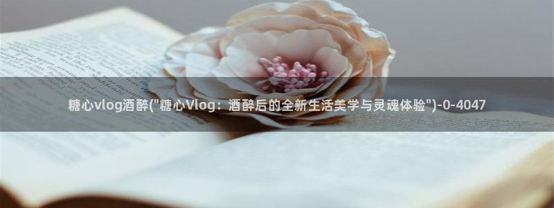 糖心Vlog黄色纸人:糖心vlog酒醉(