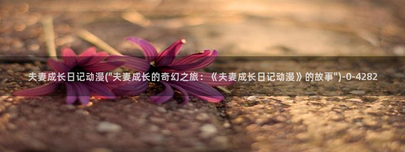 男同动漫:夫妻成长日记动漫(\
